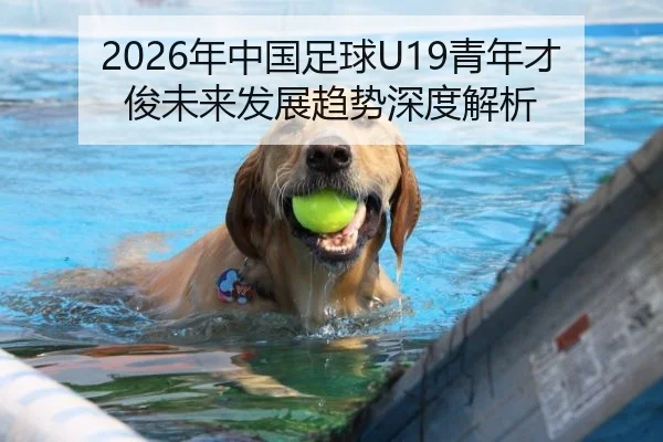 2026年中国足球U19青年才俊未来发展趋势深度解析